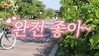 아웃팅-5월의 나들이 