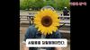 [대학탐방 인터뷰]-가천대학교 강ㅇ국